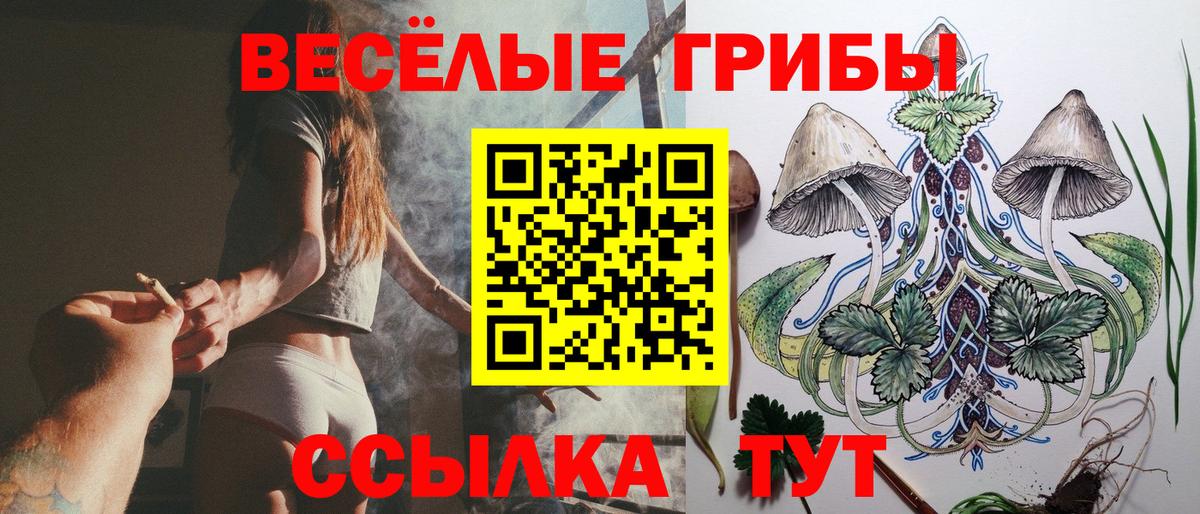 Назарово  Галлюциногенные грибы GOLDEN TEACHER  Вход с VPN 