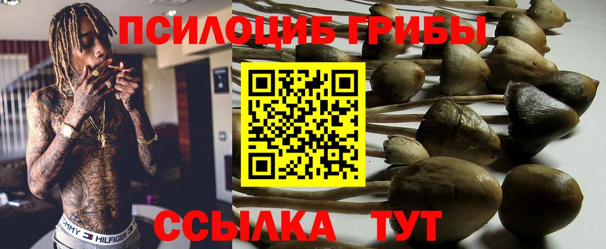 Псилоцибиновые грибы Magic Shrooms Назарово